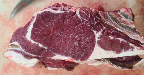 Omega Balance Bison (R) - Rib-eye